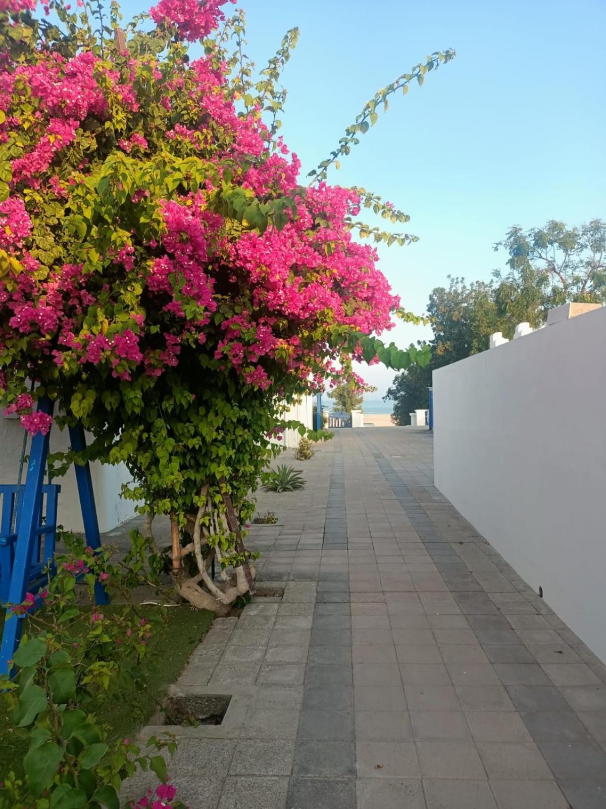 Al-Ashkhara Beach Resort منتجع شاطئ الأشخرة Al Sharqiyah Ngoại thất bức ảnh