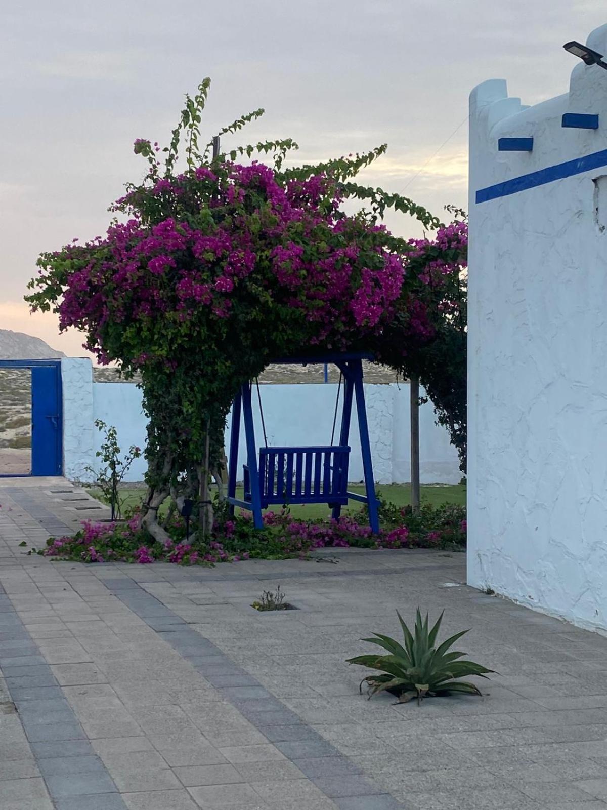 Al-Ashkhara Beach Resort منتجع شاطئ الأشخرة Al Sharqiyah Ngoại thất bức ảnh