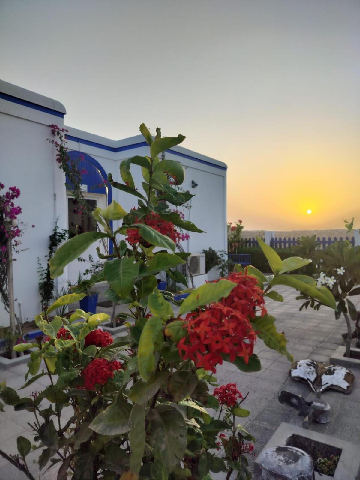 Al-Ashkhara Beach Resort منتجع شاطئ الأشخرة Al Sharqiyah Ngoại thất bức ảnh