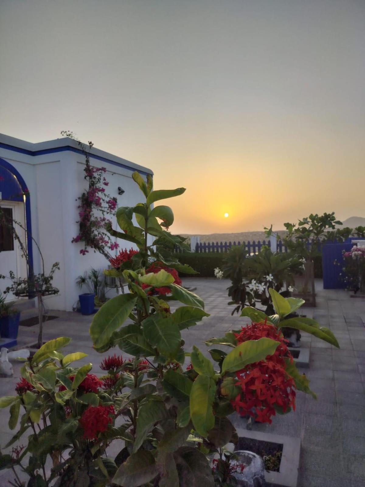 Al-Ashkhara Beach Resort منتجع شاطئ الأشخرة Al Sharqiyah Ngoại thất bức ảnh