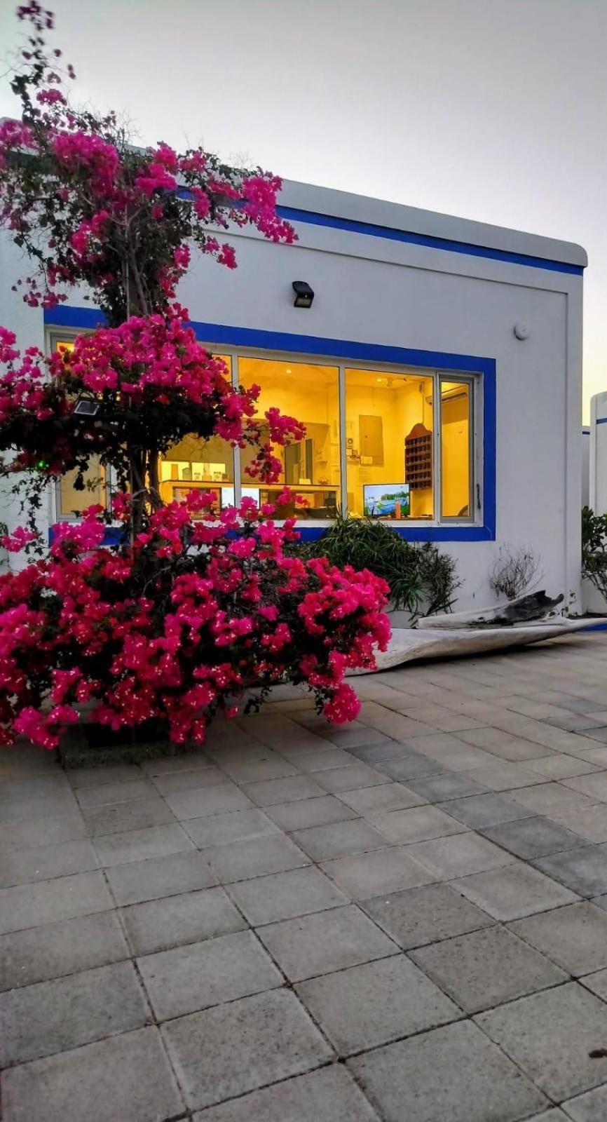 Al-Ashkhara Beach Resort منتجع شاطئ الأشخرة Al Sharqiyah Ngoại thất bức ảnh